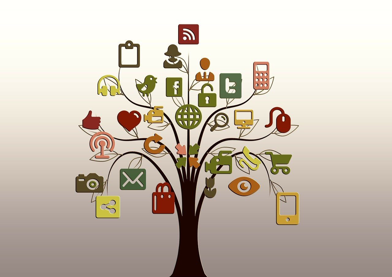 tree, structure, networks, internet, network, social, tiktok, social network, logo, facebook, google, social networking, networking, social media, icon, nature, website, presentation, multimedia